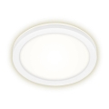 Briloner 3008-016 - Plafón LED LED/8W/230V diá. 21 cm blanco IP44