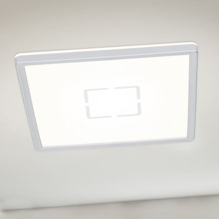 Briloner 3174-014 - Plafón LED FREE LED/12W/230V 19x19 cm
