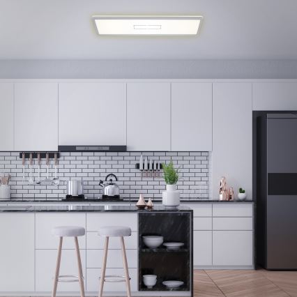 Briloner 3394-014 - Plafón LED FREE LED/22W/230V 58x20 cm