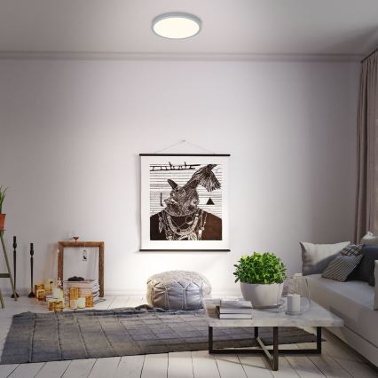 Briloner 3704-014 - Plafón LED regulable RUNA LED/22W/230V plata