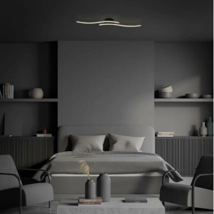 Briloner 3718-025 - Lámpara de techo LED REY 2xLED/6W/230V negro