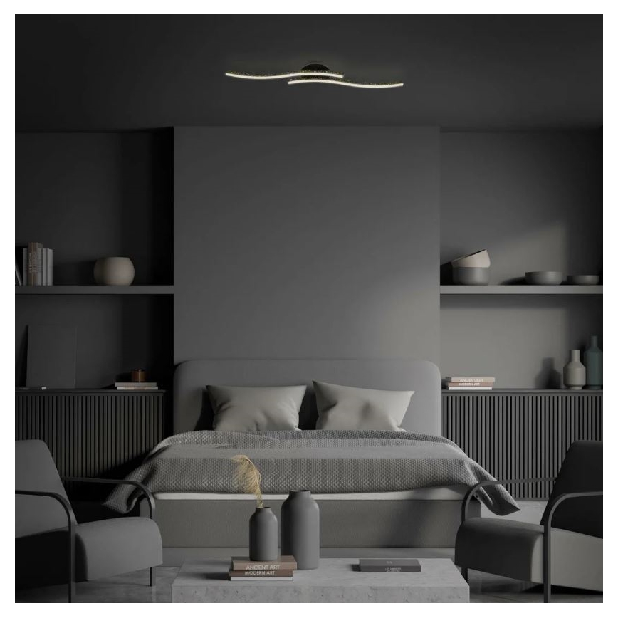 Briloner 3718-025 - Lámpara de techo LED REY 2xLED/6W/230V negro