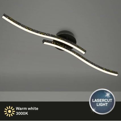 Briloner 3718-025 - Lámpara de techo LED REY 2xLED/6W/230V negro