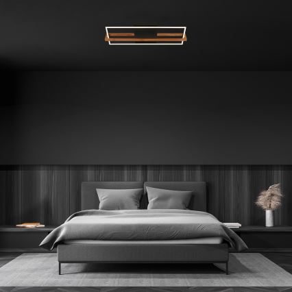 Briloner 3777-015 - Luminaria de techo LED FRAME LED/21W/230V 3000K