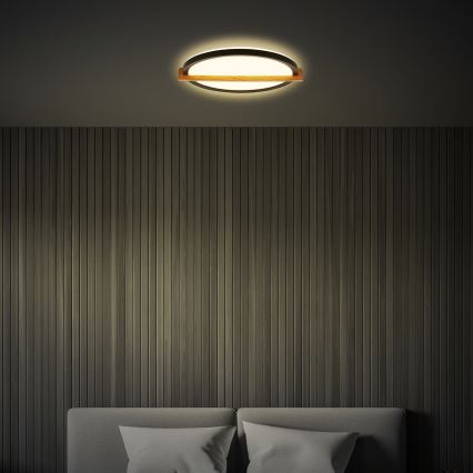 Briloner 3844015 - Luminaria de techo LED/18W/230V Ø 31,5 cm