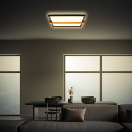 Briloner 3845015 - Luminaria de techo LED/18W/230V 29,5x31,5 cm