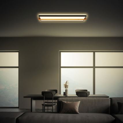 Briloner 3846015 - Luminaria de techo LED REMSA LED/22W/230V 3000K 60,5x20 cm negra