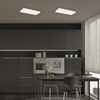 Briloner 3996026 - Foco LED CTS 2xLED/4W/230V 2700/4000K blanco