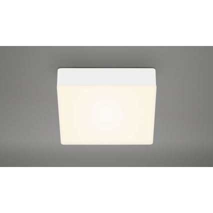 Briloner 7069-016 - Plafón LED LED/11W/230V blanco