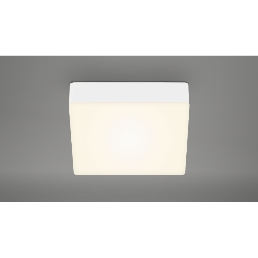 Briloner 7069-016 - Plafón LED LED/11W/230V blanco