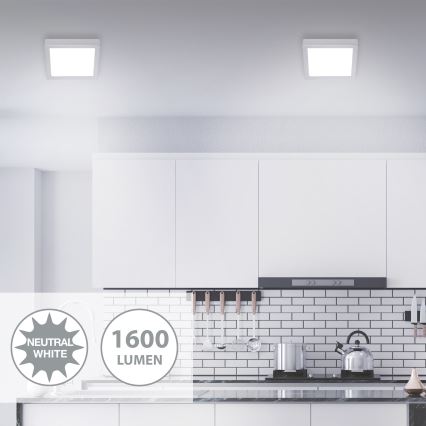 Briloner 7118-414 - Plafón LED FIRE LED/16,5W/230V 4000K