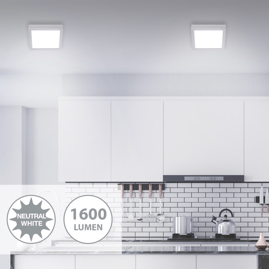 Briloner 7118-414 - Plafón LED FIRE LED/16,5W/230V 4000K