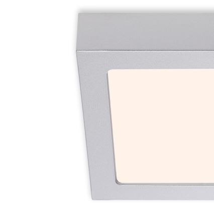 Briloner 7123-014 - Plafón de techo LED FIRE LED/12W/230V 3000K 17x17cm plateado