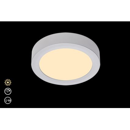 Briloner 7124-014 - Plafón LED regulable FIRE LED/12W/230V 3000K