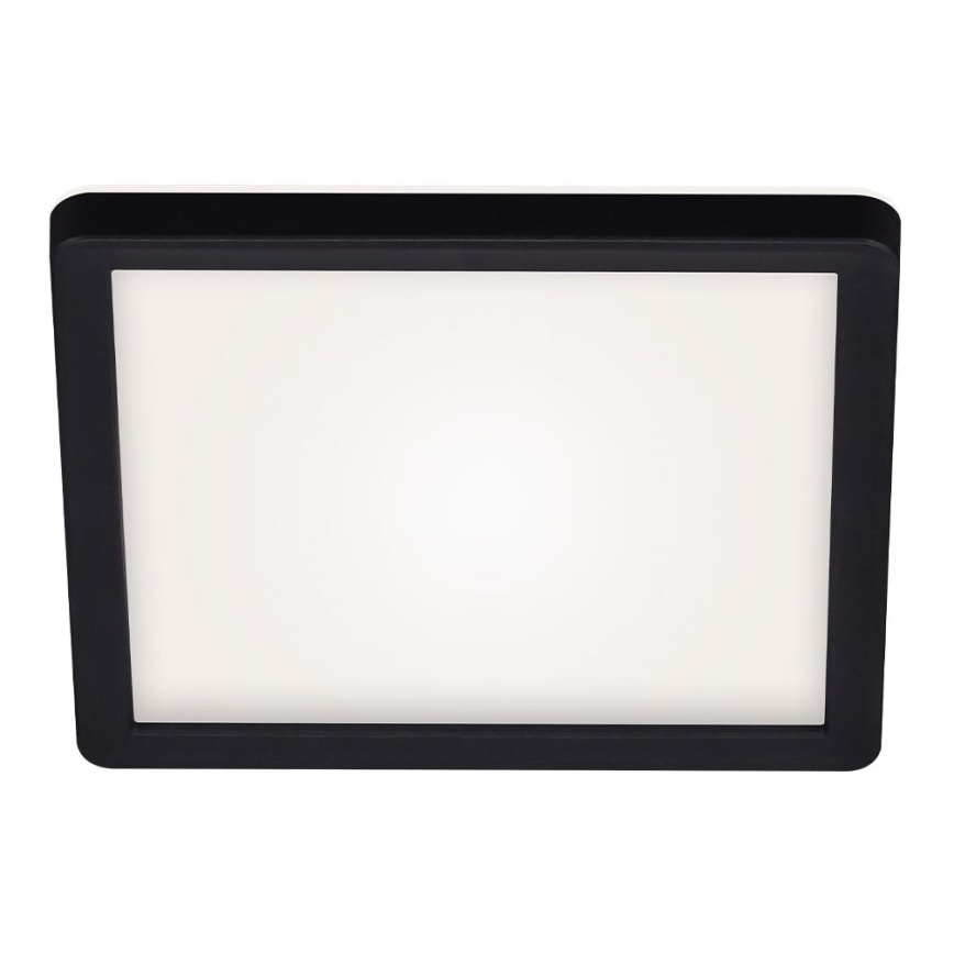 Briloner 7153-415 - Plafón LED SLIM LED/12W/230V 19x19 cm