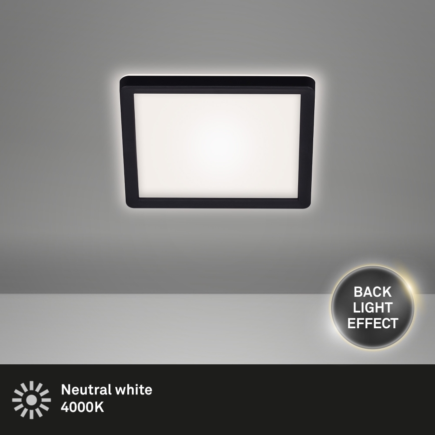 Briloner 7153-415 - Plafón LED SLIM LED/12W/230V 19x19 cm