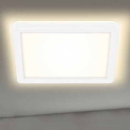 Briloner 7153-416 - Plafón LED SLIM LED/12W/230V