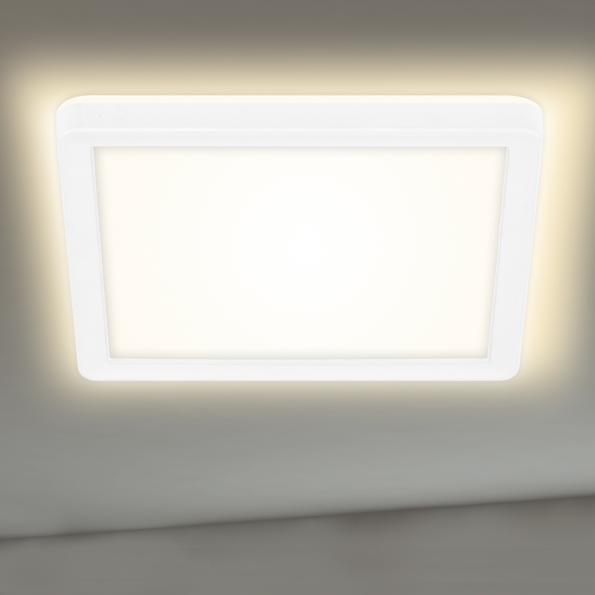 Briloner 7153-416 - Plafón LED SLIM LED/12W/230V