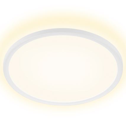 Briloner 7157-416 - Plafón LED SLIM LED/22W/230V diá. 42 cm
