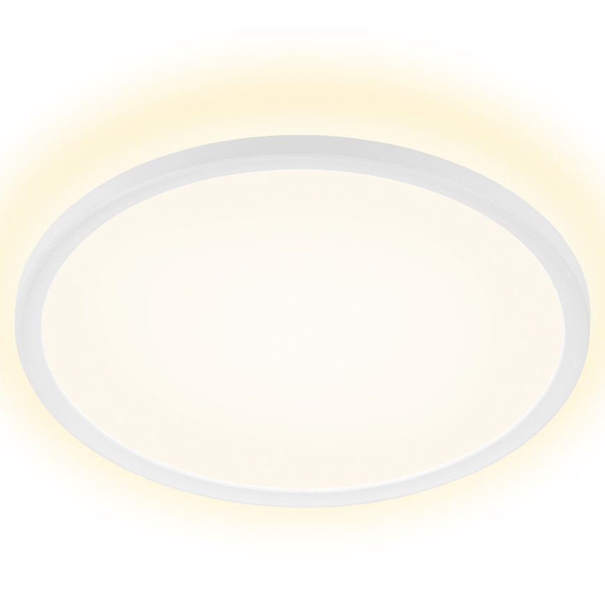 Briloner 7157-416 - Plafón LED SLIM LED/22W/230V diá. 42 cm