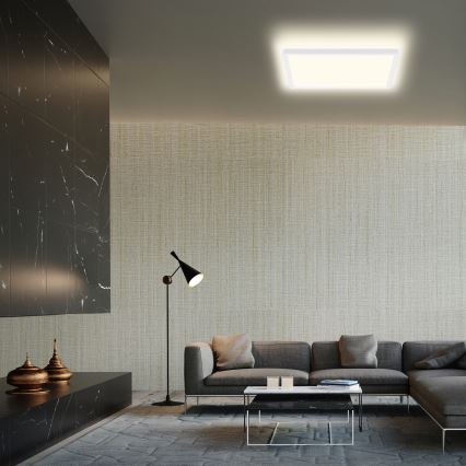 Briloner 7158-416 - Plafón LED SLIM LED/22W/230V 42x42 cm
