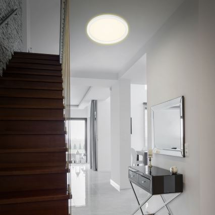 Briloner 7363-016 - Plafón LED CADRE LED/22W/230V diá. 42,5 cm blanco