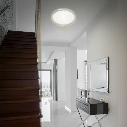 Briloner 7363-019 - Plafón LED CADRE LED/22W/230V diá. 42,5 cm
