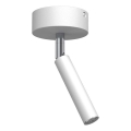 Brosline - Foco 1xG9/2,5W/230V blanco