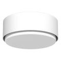 Brosline - Foco 1xGX53/9W/230V blanco