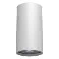 Brosline - Foco orientable 1xGU10/10W/230V blanco