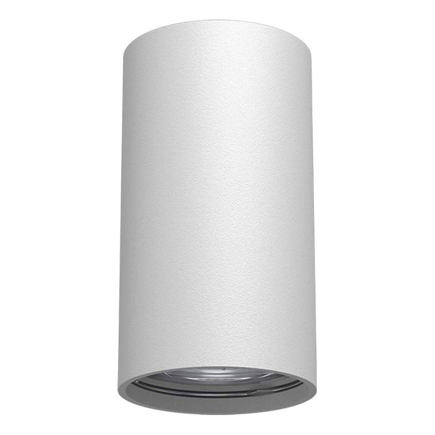 Brosline - Foco orientable 1xGU10/10W/230V blanco