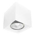 Brosline - Foco orientable 1xGU10/10W/230V blanco