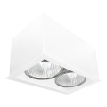 Brosline - Luminaria de techo 2x GU10/10W/230V, blanca