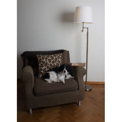 ByRydens - Lámpara de pie LED ORLANDO 1xE27/5W/230V + LED/3W blanca/bronce Ø 36 cm