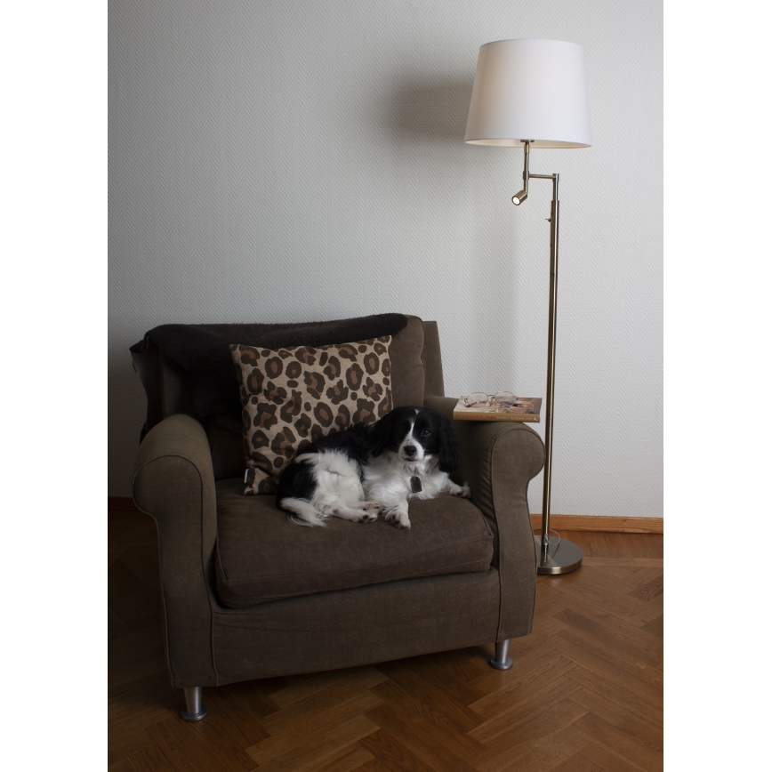 ByRydens - Lámpara de pie LED ORLANDO 1xE27/5W/230V + LED/3W blanca/bronce Ø 36 cm