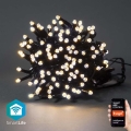 Cadena de Navidad LED 100xLED/8 funciones 15m IP65 Wi-Fi Tuya cálida