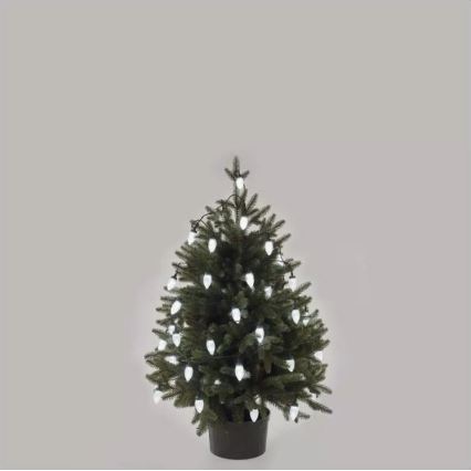 Cadena de Navidad LED para exteriores 50xLED/8 funciones 14,8 m IP44 blanco frío