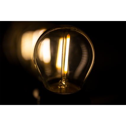 Cadena decorativa exterior MIMOSA 20xE27/1,3W/230V IP44 10m