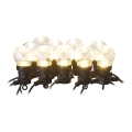 Cadena decorativa LED para exteriores 10xLED/10m IP44 transparente