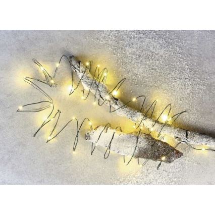 Cadena LED de Navidad para exteriores 40xLED/9m IP44 blanco cálido