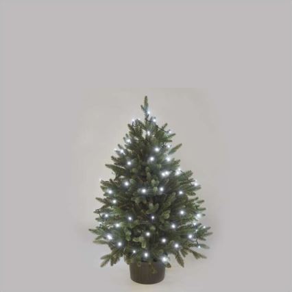 Cadena LED de Navidad para exteriores 80xLED/13m IP44 blanco frío