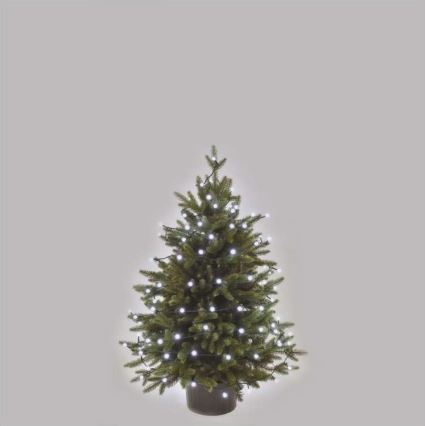 Cadena LED de Navidad para exteriores 80xLED/13m IP44 blanco frío