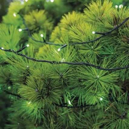 Cadena LED navideña exterior 100xLED/10m IP44 Verde