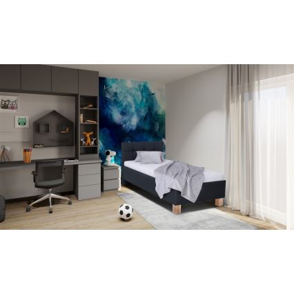 Cama tapizada con colchón y espacio de almacenamiento MARIA ONE 90x200 cm antracita