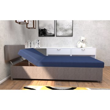 Cama tapizada tipo diván con respaldo regulable y arcón de almacenamiento DALLAS 108x205 cm gris/azul