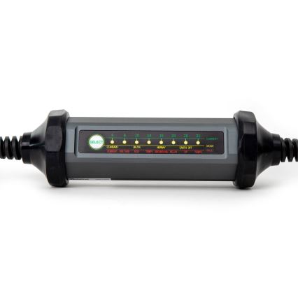Cargador portátil para coches eléctricos con 4 adaptadores Tipo 2 32A/480V 22kW 5m IP67