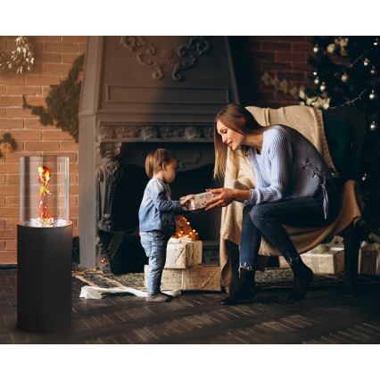 Chimenea de bioetanol ROMA 26,5x80,5 cm 2kW negra + cubierta protectora