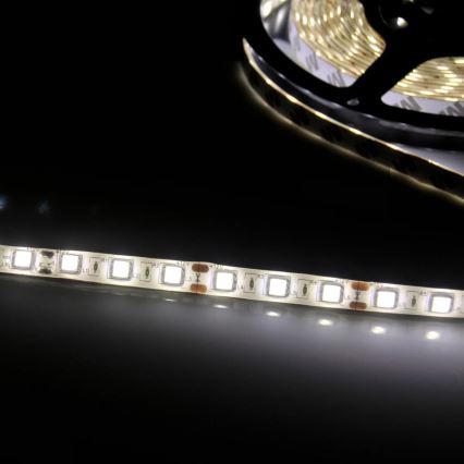 Cinta LED 5m LED/10W/12V IP20 blanco
