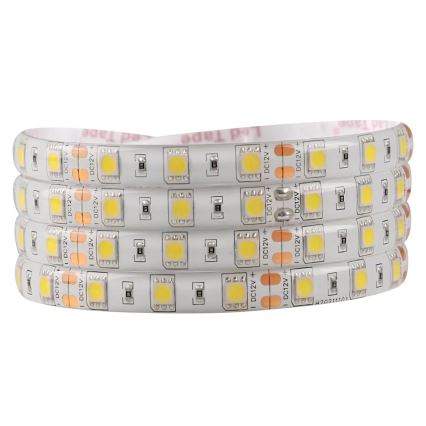 Cinta LED baño 5m 28W/12V IP65 6500K