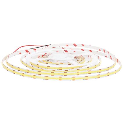 Cinta LED LED/50W/12V 5 m 6500K
